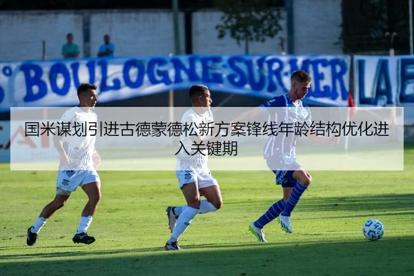 国米谋划引进古德蒙德松新方案锋线年龄结构优化进入关键期